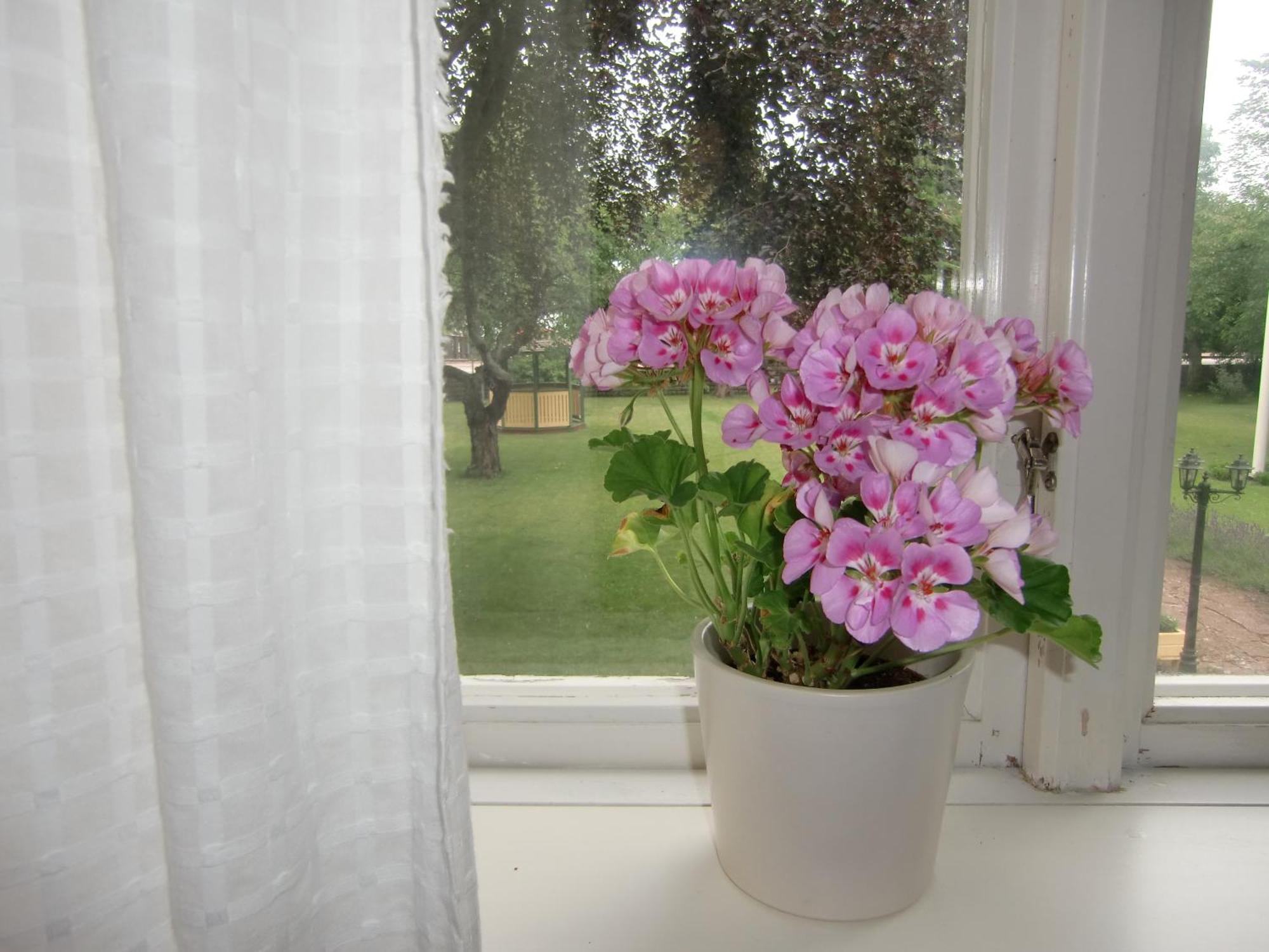 Hagaborg Bed & Breakfast Köpingsvik Exterior foto